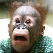 Фото пользователя Cabron