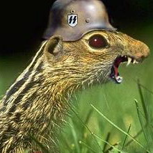 Фото пользователя Syslik